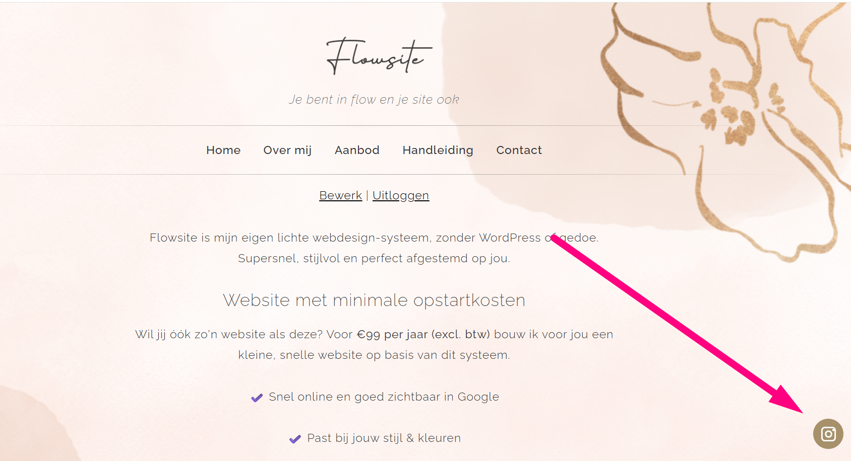 De website met een roze pijl naar het Instagram-icoon rechts onderaan