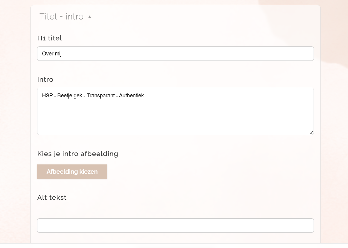 Titel + intro in Flowspace met velden voor de H1 titel, introtekst, introafbeelding en alt-tekst